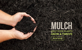 Mulch