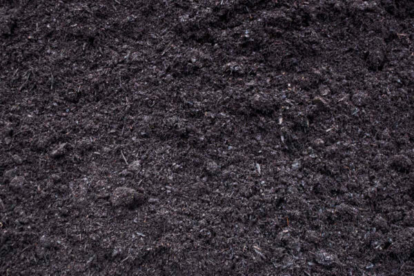 Black Mulch