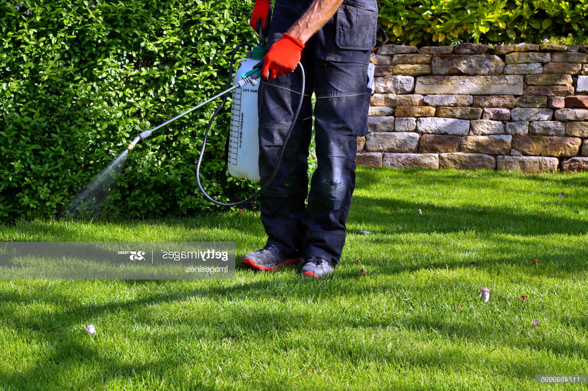 Pesticide