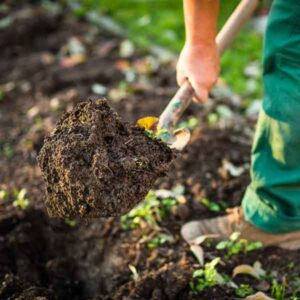 Dirt, Soil, Compost and Specialty Products