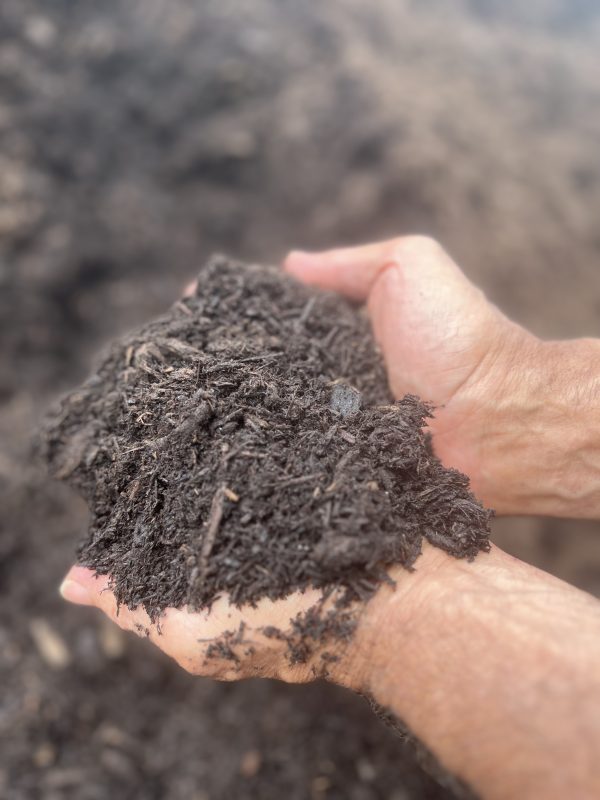 TRIPLE SHREDDED REGULAR MULCH